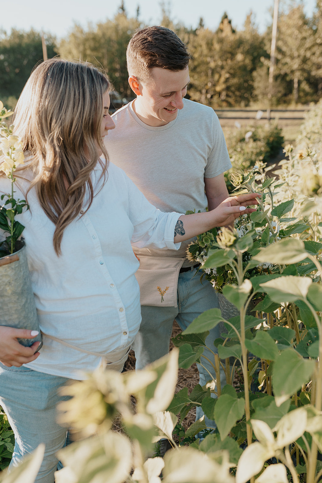 Blooms on 7 Flower and Alpaca Farm | Summer Events, U-Pick + Workshops