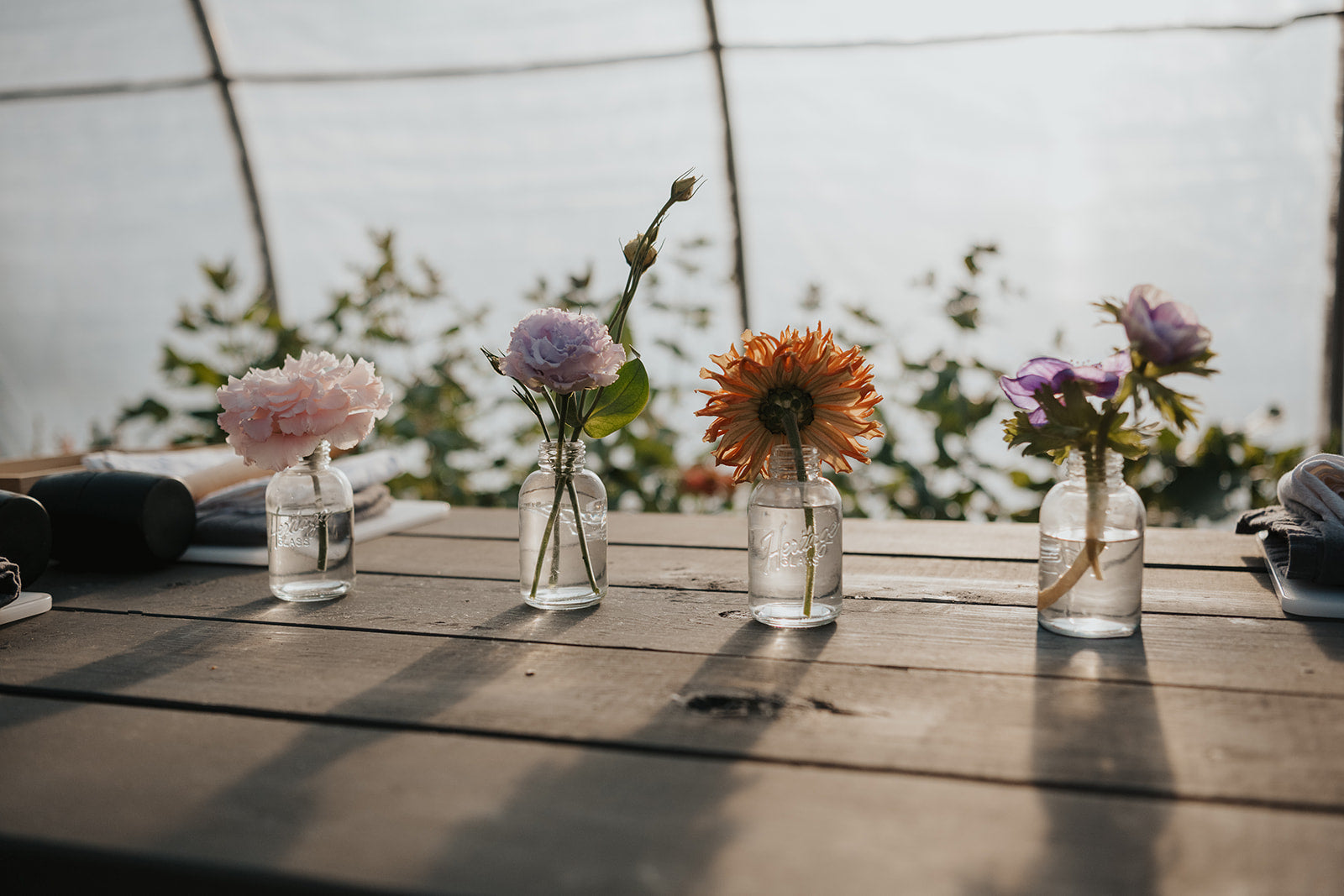 A PALS Market x Blooms on 7 Collaboration