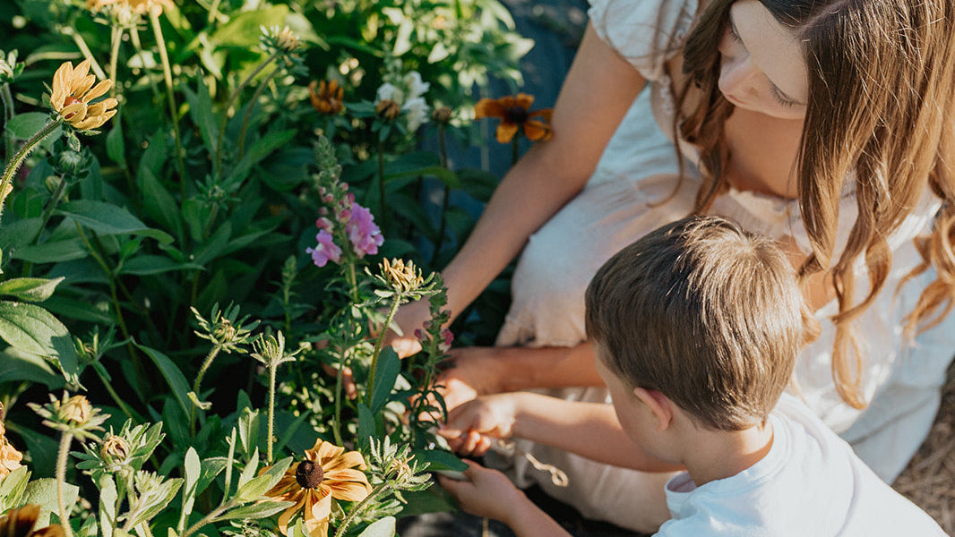 Woman and child snipping flowers in a flower garden