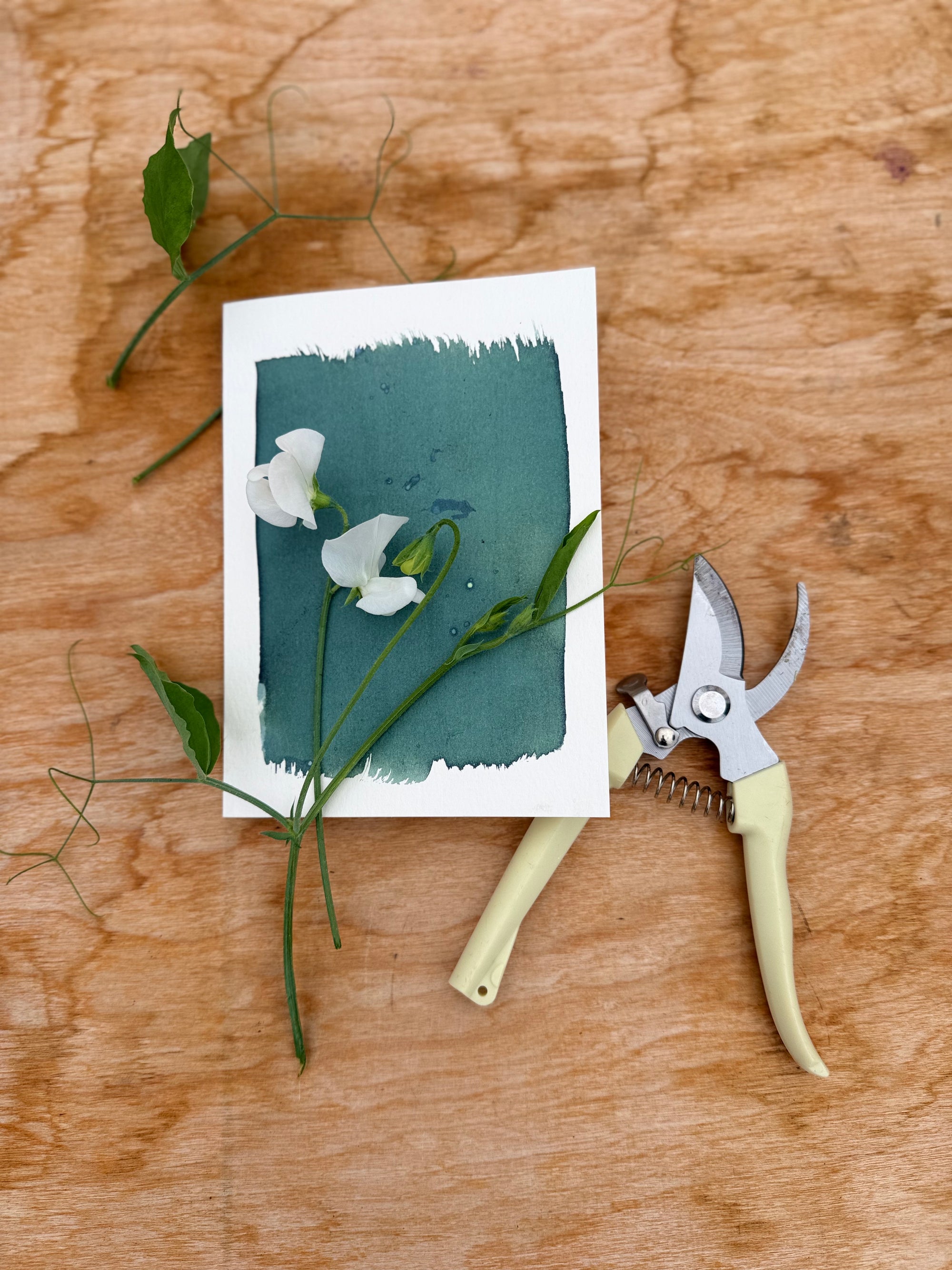 Cyanotype Print Making