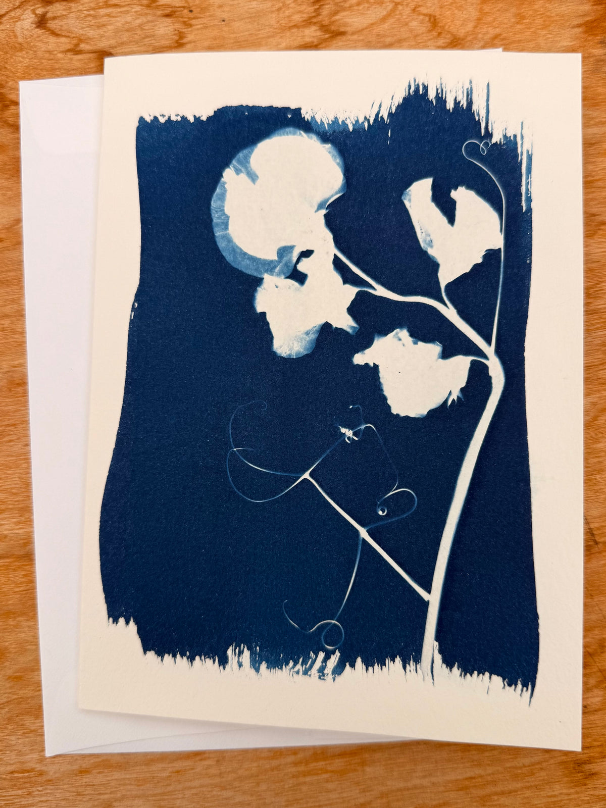 Cyanotype Print Making